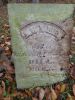 Filename=cemetary_photo_beaver_abner_dill.JPG
Filesize=116KiB
Dimensions=432x576
Date added=Nov 12, 2011 cemetary_photo_beaver_abner_dill.JPG