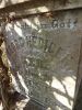 Filename=cemetary_photo_beaver_georg_hediger.jpg
Filesize=197KiB
Dimensions=483x644
Date added=Nov 12, 2011 cemetary_photo_beaver_georg_hediger.jpg