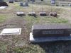 Filename=Hauskins_family_plot.JPG
Filesize=426KiB
Dimensions=858x644
Date added=Jun 23, 2012 Hauskins_family_plot.JPG