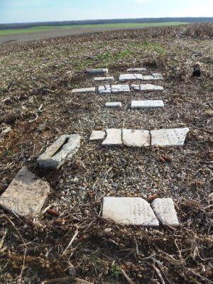 Cole Grave Yard