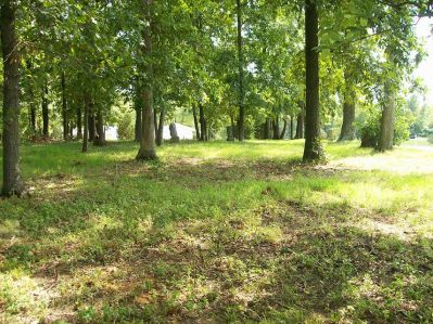 McNeill Cemetery facing south