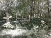 Barker_Cemetery_in_woods.JPG