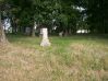 Filename=McNeill_Cemetery_Facing_East_Small.JPG
Filesize=184KiB
Dimensions=855x640
Date added=Aug 29, 2010 McNeill_Cemetery_Facing_East_Small.JPG