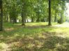 Filename=McNeill_Cemetery_Facing_South_Small.JPG
Filesize=228KiB
Dimensions=855x640
Date added=Aug 29, 2010 McNeill_Cemetery_Facing_South_Small.JPG