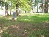 Filename=McNeill_Cemetery_North_side_facing_East_Small.JPG
Filesize=202KiB
Dimensions=855x640
Date added=Aug 29, 2010 McNeill_Cemetery_North_side_facing_East_Small.JPG