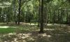 Filename=Cemetery_veiw_2.JPG
Filesize=246KiB
Dimensions=851x511
Date added=Nov 20, 2012 Cemetery_veiw_2.JPG