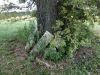 Filename=cemetary_photo_godell2.JPG
Filesize=228KiB
Dimensions=576x432
Date added=Nov 03, 2011 cemetary_photo_godell2.JPG