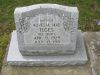 Filename=Ilges,_Aurelia_Mae_(White).jpg
Filesize=172KiB
Dimensions=640x480
Date added=Jul 11, 2011 Ilges,_Aurelia_Mae_(White).jpg