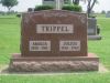 Filename=Trippel,_Amalia_and_Julius.jpg
Filesize=144KiB
Dimensions=640x480
Date added=Jul 11, 2011 Trippel,_Amalia_and_Julius.jpg