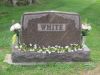 Filename=White.jpg
Filesize=158KiB
Dimensions=640x480
Date added=Jul 11, 2011 White.jpg