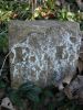 Filename=Jackson_cemetary-E_L__footstone.JPG
Filesize=74KiB
Dimensions=322x429
Date added=Dec 16, 2011 Jackson_cemetary-E_L__footstone.JPG