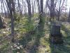 Filename=Jackson_cemetary_view_1.JPG
Filesize=85KiB
Dimensions=429x322
Date added=Dec 16, 2011 Jackson_cemetary_view_1.JPG