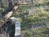 Filename=Jackson_cemetary_view_2.JPG
Filesize=90KiB
Dimensions=429x322
Date added=Dec 16, 2011 Jackson_cemetary_view_2.JPG