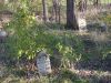 Filename=Jackson_cemetary_view_5.JPG
Filesize=87KiB
Dimensions=429x322
Date added=Dec 16, 2011 Jackson_cemetary_view_5.JPG