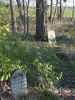 Filename=Jackson_cemetary_view_6.JPG
Filesize=84KiB
Dimensions=322x429
Date added=Dec 16, 2011 Jackson_cemetary_view_6.JPG