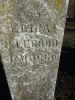 Filename=Jamestown-Ellegood__Elijah_close_up.JPG
Filesize=135KiB
Dimensions=483x644
Date added=Dec 04, 2011 Jamestown-Ellegood__Elijah_close_up.JPG