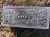 Filename=Jamestown-Giller__Anna_E_.JPG
Filesize=155KiB
Dimensions=644x483
Date added=Dec 04, 2011 Jamestown-Giller__Anna_E_.JPG