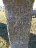 Filename=Jamestown-Mewes__Stella_Ottilla_close_up.JPG
Filesize=124KiB
Dimensions=483x644
Date added=Dec 04, 2011 Jamestown-Mewes__Stella_Ottilla_close_up.JPG