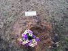 Filename=028_28.JPG
Filesize=224KiB
Dimensions=800x600
Date added=Apr 26, 2010 028_28.JPG