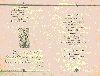 Filename=fschulte1.gif
Filesize=29KiB
Dimensions=500x384
Date added=Sep 15, 2011 fschulte1.gif