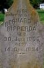 Filename=St__Boniface_Cemetery_A_217.jpg
Filesize=145KiB
Dimensions=527x799
Date added=Oct 31, 2008 St__Boniface_Cemetery_A_217.jpg