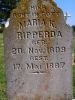 Filename=St__Boniface_Cemetery_A_444.jpg
Filesize=492KiB
Dimensions=600x800
Date added=Oct 31, 2008 St__Boniface_Cemetery_A_444.jpg