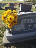 Filename=Hempen,_Robert_H.JPG
Filesize=529KiB
Dimensions=804x1072
Date added=Jun 05, 2014 Hempen,_Robert_H.JPG