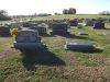 Filename=Hempen_family_plot.JPG
Filesize=572KiB
Dimensions=1072x804
Date added=Jun 05, 2014 Hempen_family_plot.JPG