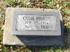 Filename=Hilbus,_Celia.JPG
Filesize=615KiB
Dimensions=1072x804
Date added=Jun 05, 2014 Hilbus,_Celia.JPG