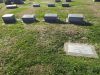Filename=Lampen_family_plot.JPG
Filesize=712KiB
Dimensions=1072x804
Date added=Jun 05, 2014 Lampen_family_plot.JPG
