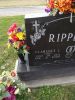 Filename=Ripperda,_Clarence_L__Louie_.JPG
Filesize=514KiB
Dimensions=804x1072
Date added=Jun 05, 2014 Ripperda,_Clarence_L__Louie_.JPG