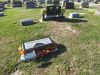 Filename=Zieren_family_plot.JPG
Filesize=687KiB
Dimensions=1072x804
Date added=Jun 05, 2014 Zieren_family_plot.JPG