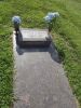 Filename=Bruens,_Delwood_H.JPG
Filesize=672KiB
Dimensions=804x1072
Date added=Jun 05, 2014 Bruens,_Delwood_H.JPG