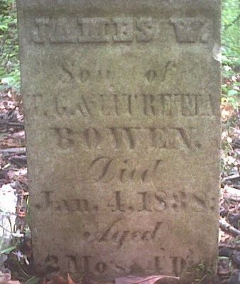 View Details