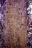 Filename=Chambers_10.jpg
Filesize=249KiB
Dimensions=800x1191
Date added=Jan 22, 2009 Chambers_10.jpg