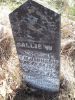 Filename=Johnson__Sallie_W.jpg
Filesize=309KiB
Dimensions=800x1066
Date added=Mar 28, 2009 Johnson__Sallie_W.jpg