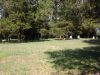 Filename=Petrea_Cemetery.jpg
Filesize=208KiB
Dimensions=800x600
Date added=Aug 24, 2010 Petrea_Cemetery.jpg