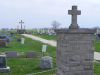 Filename=St_Bernard_471.JPG
Filesize=76KiB
Dimensions=576x432
Date added=Mar 23, 2011 St_Bernard_471.JPG