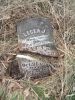 Filename=Watts__Lecea_J.jpg
Filesize=346KiB
Dimensions=800x1066
Date added=Mar 28, 2009 Watts__Lecea_J.jpg