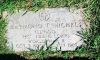 Filename=G_town_15_Aug_159.JPG
Filesize=48KiB
Dimensions=390x235
Date added=Aug 16, 2009 G_town_15_Aug_159.JPG