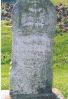 Filename=Heckenkemper.JPG
Filesize=641KiB
Dimensions=801x1171
Date added=Feb 28, 2012 Heckenkemper.JPG