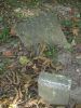 Filename=Matsler-Trinity_010.JPG
Filesize=73KiB
Dimensions=480x640
Date added=Oct 31, 2008 Matsler-Trinity_010.JPG