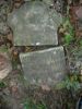 Filename=Matsler-Trinity_014.JPG
Filesize=63KiB
Dimensions=480x640
Date added=Oct 31, 2008 Matsler-Trinity_014.JPG