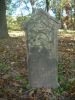 Filename=Matsler-Trinity_015.JPG
Filesize=72KiB
Dimensions=480x640
Date added=Oct 31, 2008 Matsler-Trinity_015.JPG