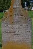 Filename=St__Boniface_Cemetery_A_252.jpg
Filesize=142KiB
Dimensions=543x799
Date added=Nov 02, 2008 St__Boniface_Cemetery_A_252.jpg
