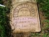 Filename=AllenGreenberry.jpg
Filesize=109KiB
Dimensions=576x433
Date added=Nov 05, 2008 AllenGreenberry.jpg