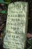 Filename=BestErastusE.jpg
Filesize=108KiB
Dimensions=576x897
Date added=Nov 07, 2008 BestErastusE.jpg