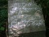 Filename=CarsonWilliamSarah.jpg
Filesize=73KiB
Dimensions=576x433
Date added=Nov 07, 2008 CarsonWilliamSarah.jpg