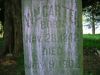 Filename=CarterWm.jpg
Filesize=68KiB
Dimensions=576x433
Date added=Nov 05, 2008 CarterWm.jpg