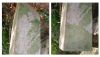 Filename=HoganWilliamCWillesH.jpg
Filesize=51KiB
Dimensions=576x332
Date added=Nov 08, 2008 HoganWilliamCWillesH.jpg